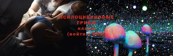 MESCALINE Нефтекумск