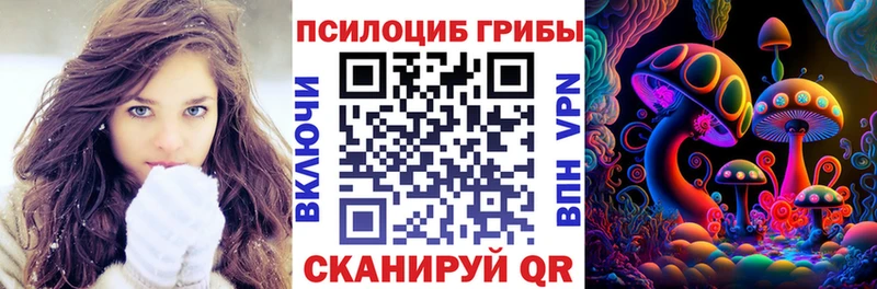 где можно купить   Омутнинск  Псилоцибиновые грибы Magic Shrooms 