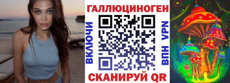 Псилоцибиновые грибы Psilocybe Омутнинск